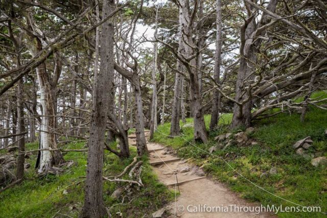 cypress- grove-california-Air-conditioning